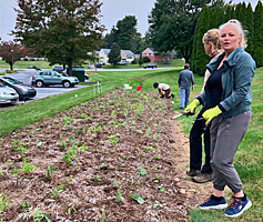 Healing Garden Phase 2 photo